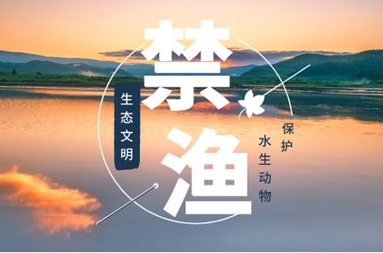 三河市关于禁止电鱼、毒鱼、炸鱼等非法捕捞行